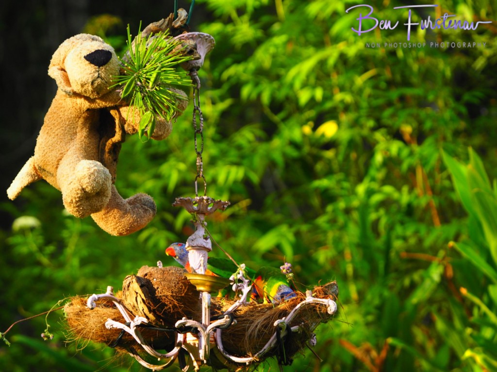 Valla, Northern New South Wales, Australia