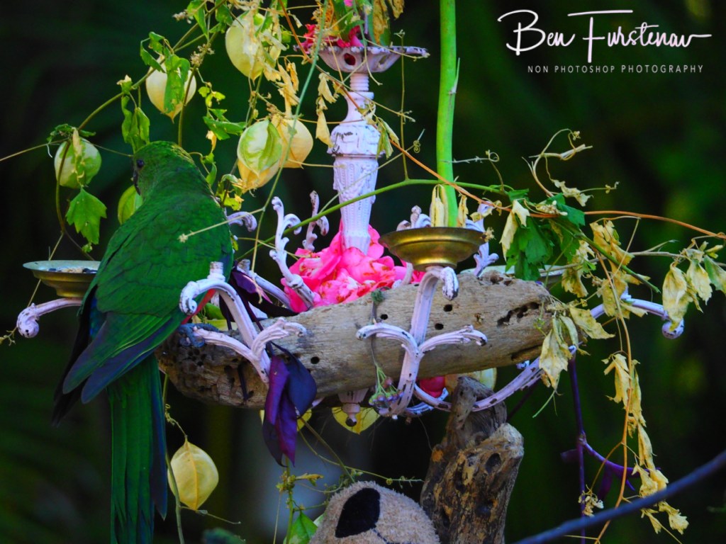 Valla, Northern New South Wales, Australia