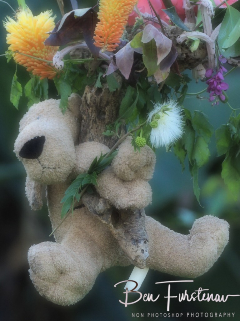 Valla, Northern New South Wales, Australia