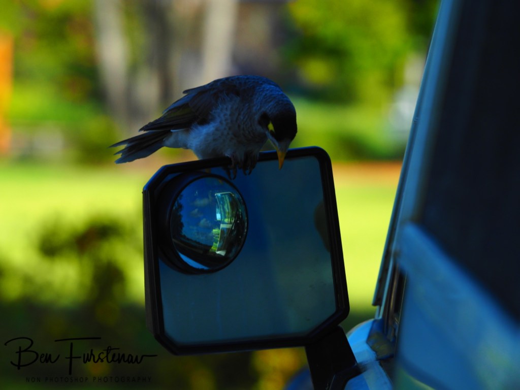 Laurieton, New South Wales Mid-Coast, Australia