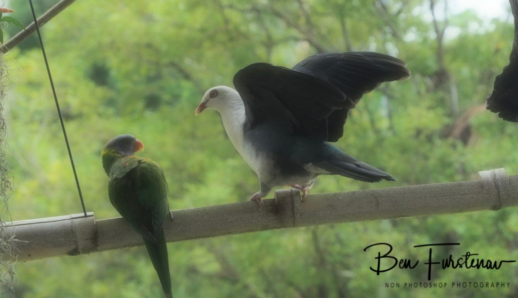 Laurieton, New South Wales Mid-Coast, Australia