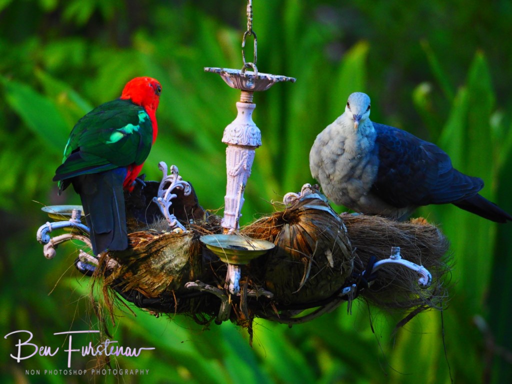 Laurieton, New South Wales Mid-Coast, Australia