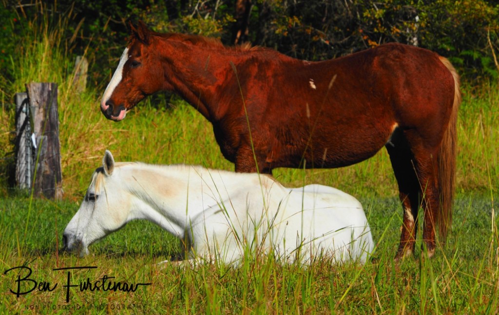 Valla, Northern New South Wales, Australia