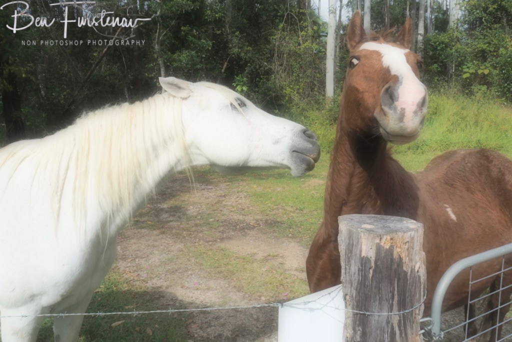 Valla, Northern New South Wales, Australia