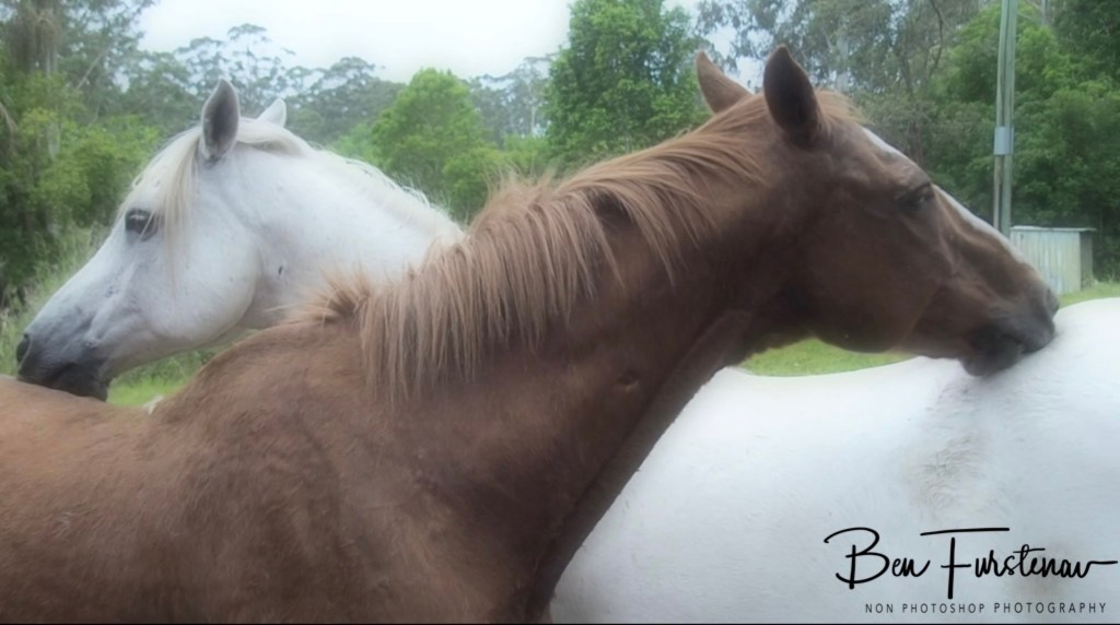 Valla, Northern New South Wales, Australia