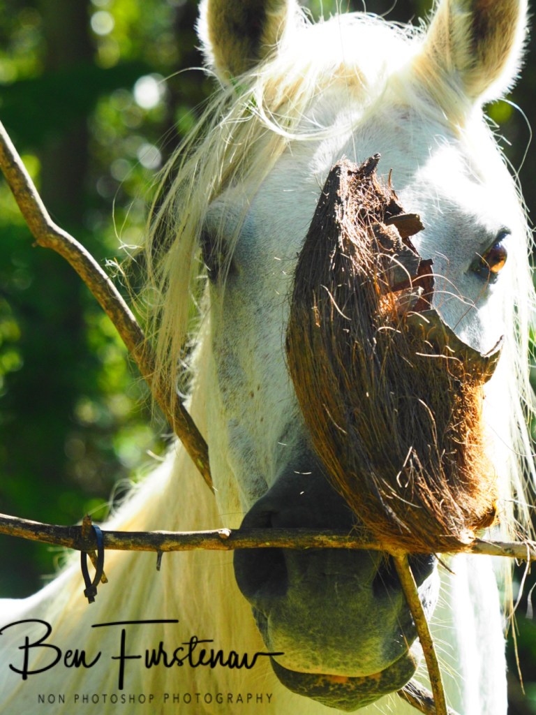 Valla, Northern New South Wales, Australia