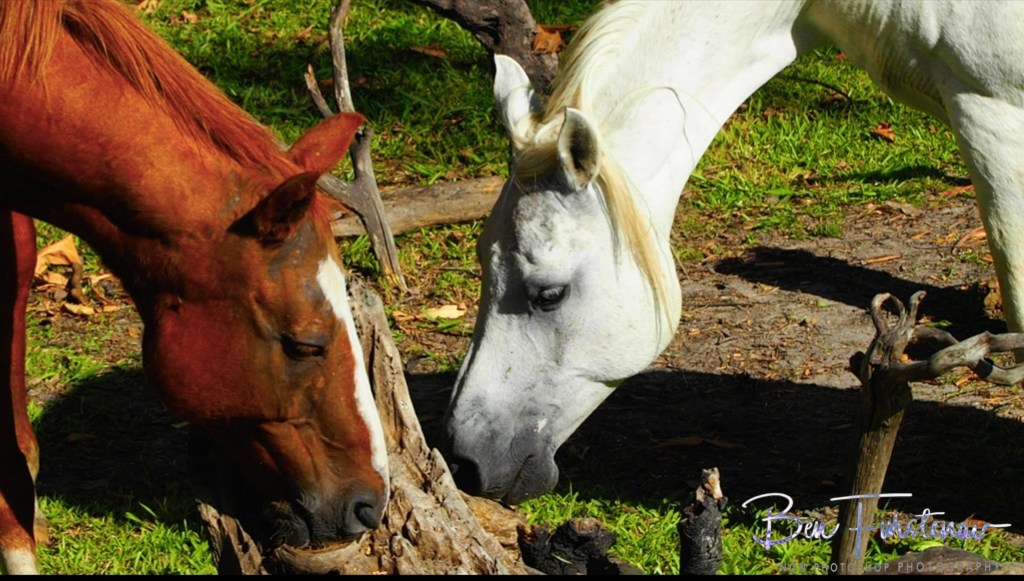Valla, Northern New South Wales, Australia