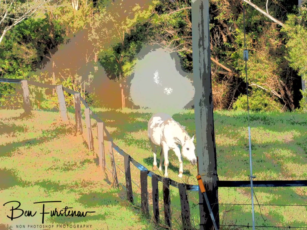 Valla, Northern New South Wales, Australia