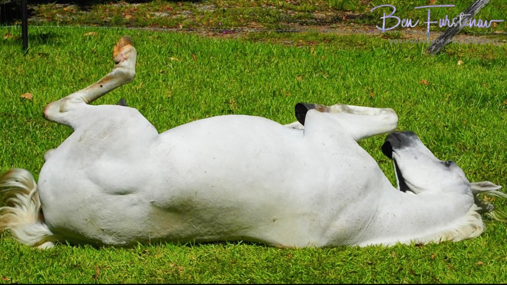 Valla, Northern New South Wales, Australia