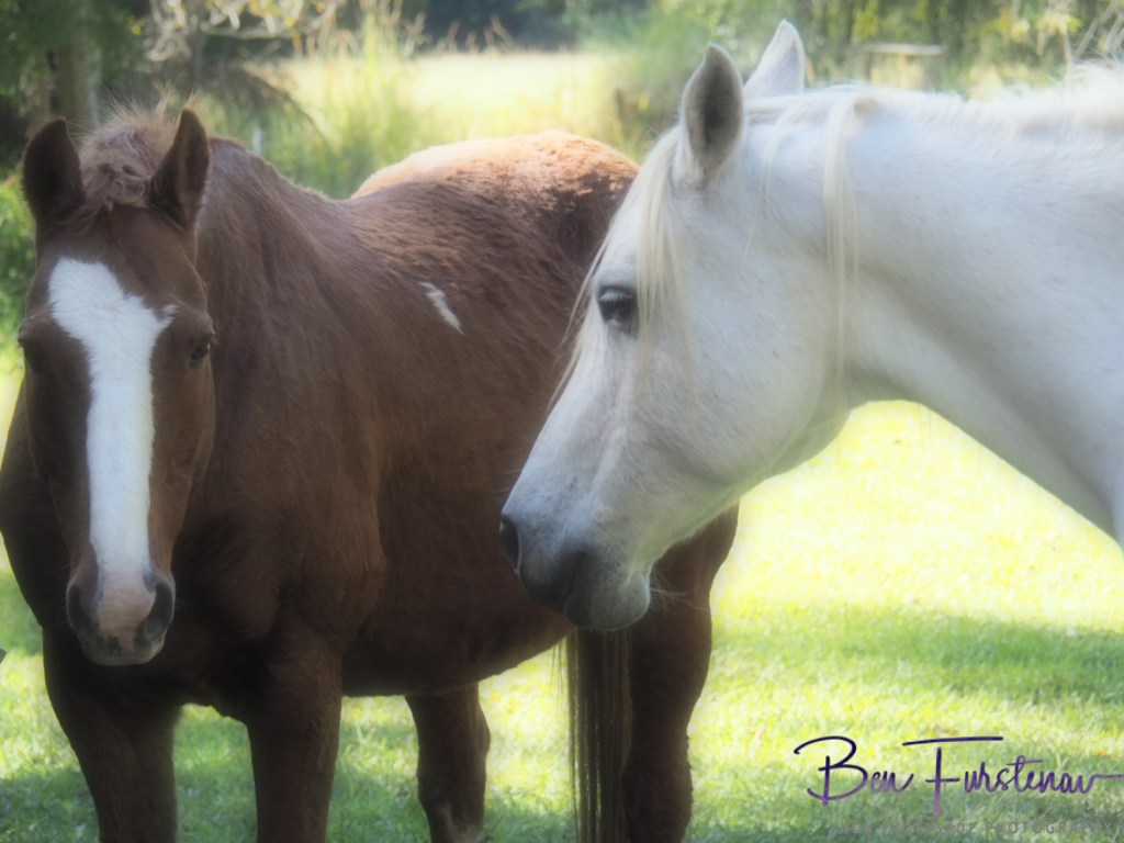 Valla, Northern New South Wales, Australia