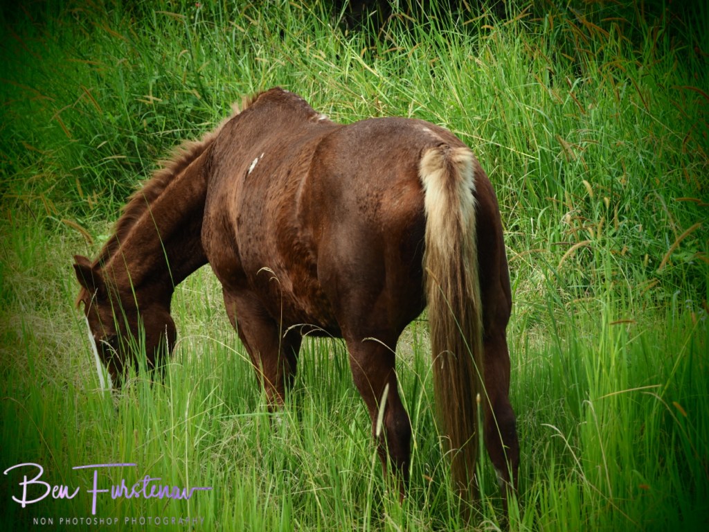 Valla, Northern New South Wales, Australia