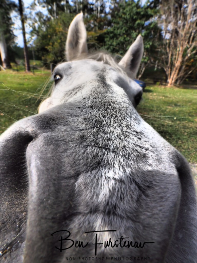 Valla, Northern New South Wales, Australia