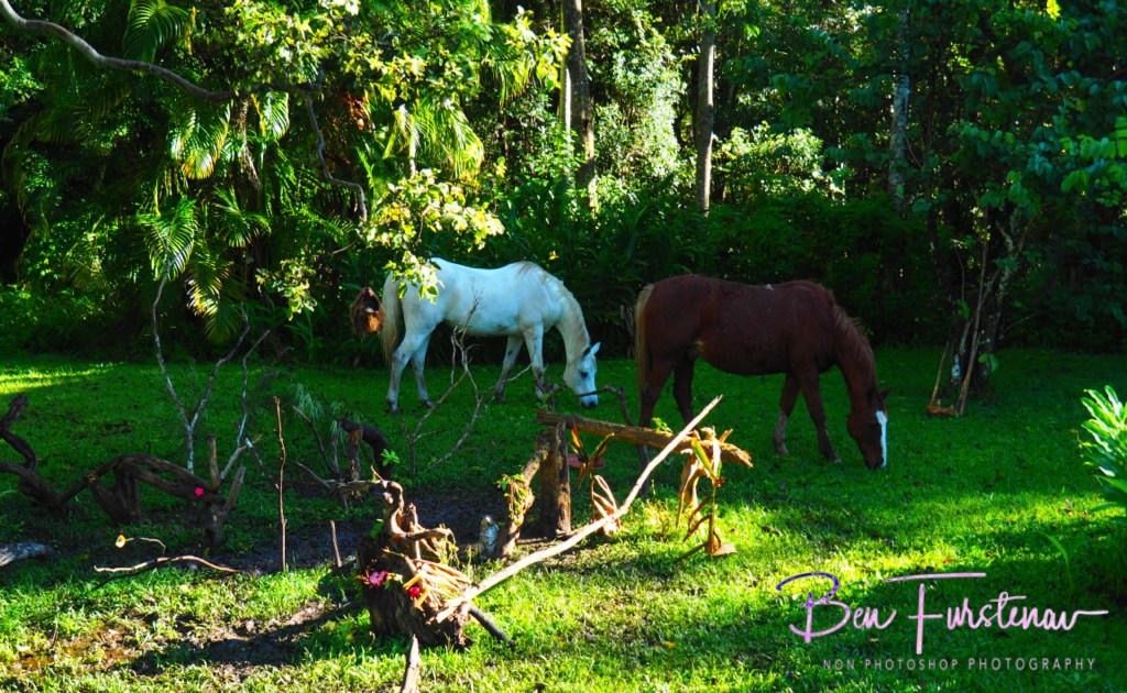 Valla, Northern New South Wales, Australia