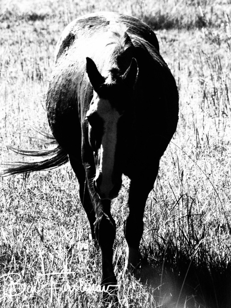 Valla, Northern New South Wales, Australia