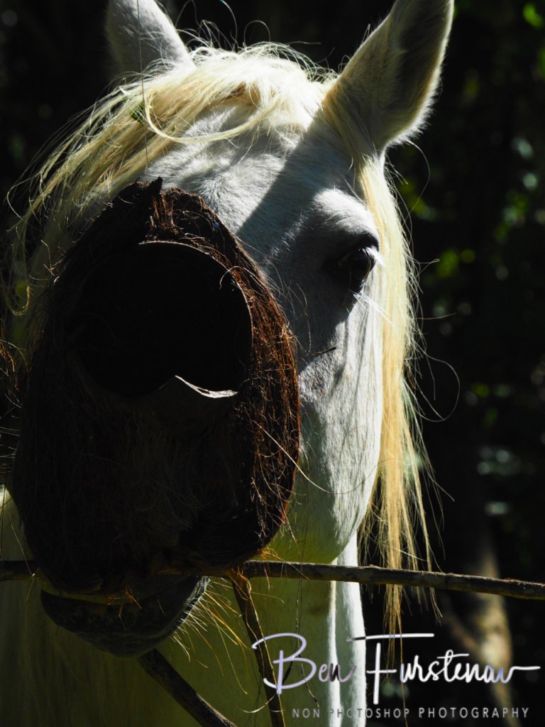Valla, Northern New South Wales, Australia