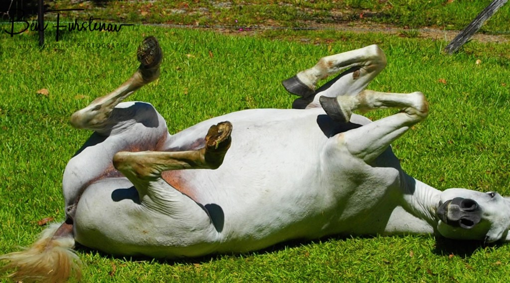 Valla, Northern New South Wales, Australia