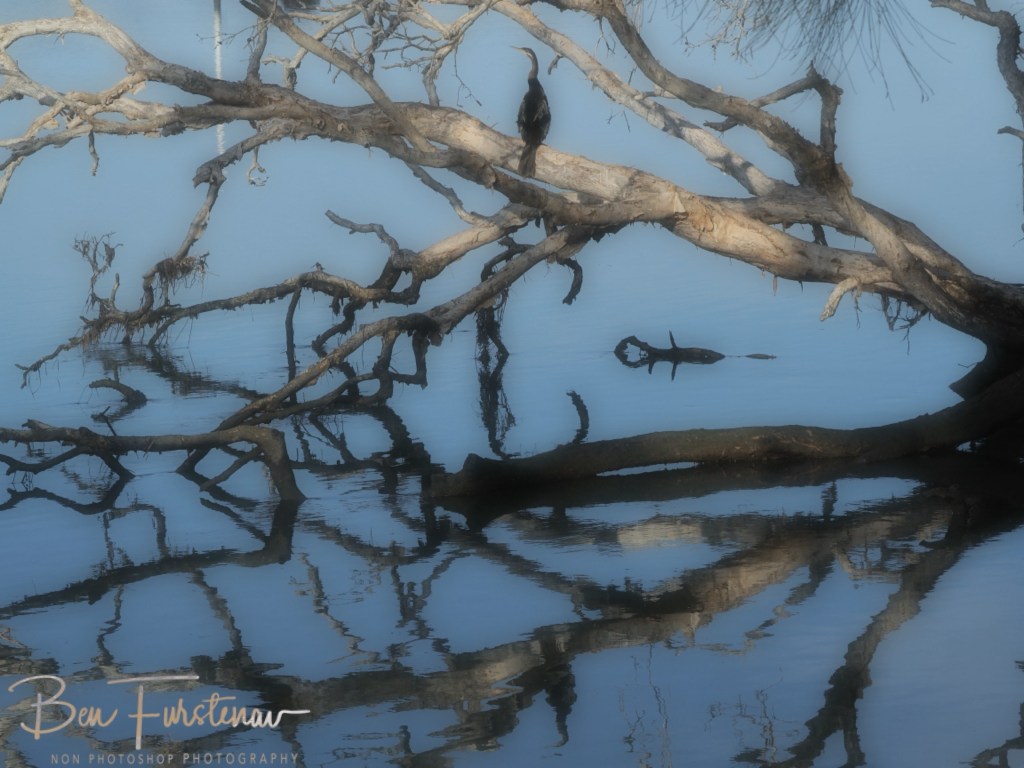 Camden Haven, Mid-North Coast, New South Wales, Australia