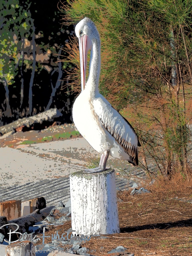 Camden Haven, Mid-North Coast, New South Wales, Australia