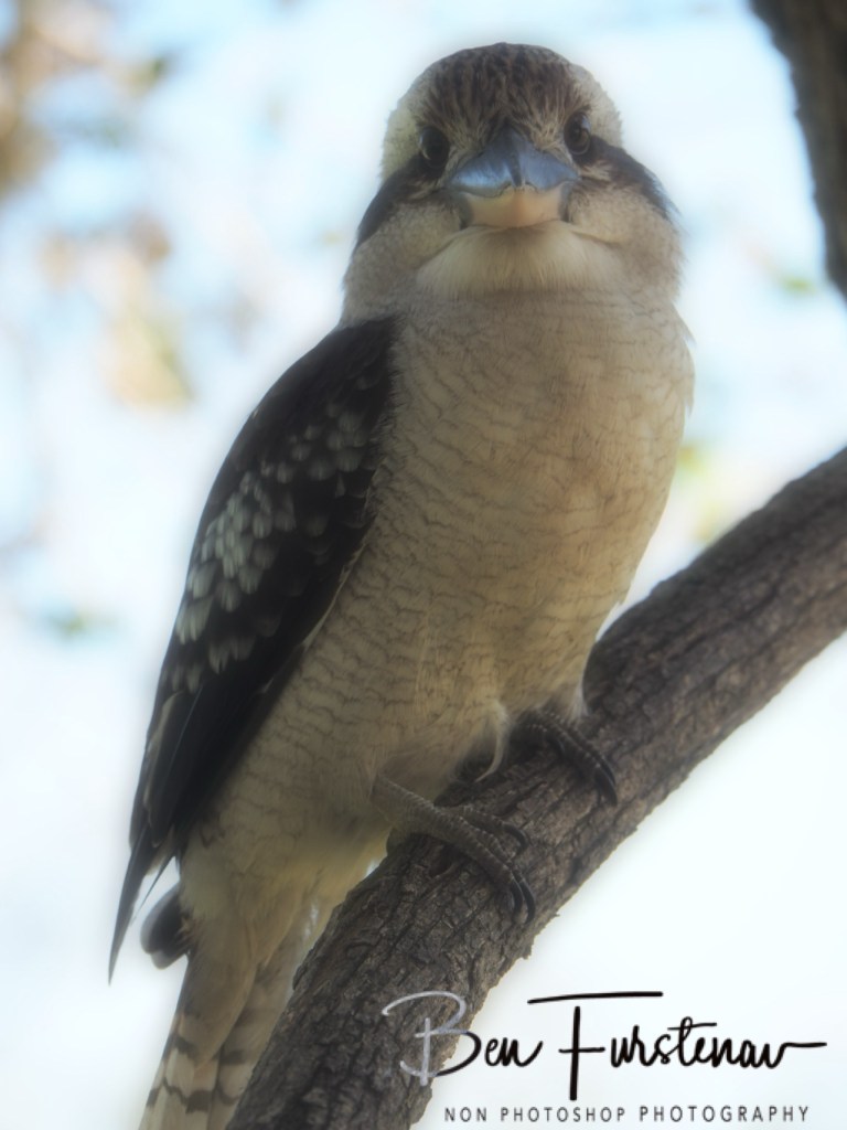 Camden Haven, Mid-North Coast, New South Wales, 