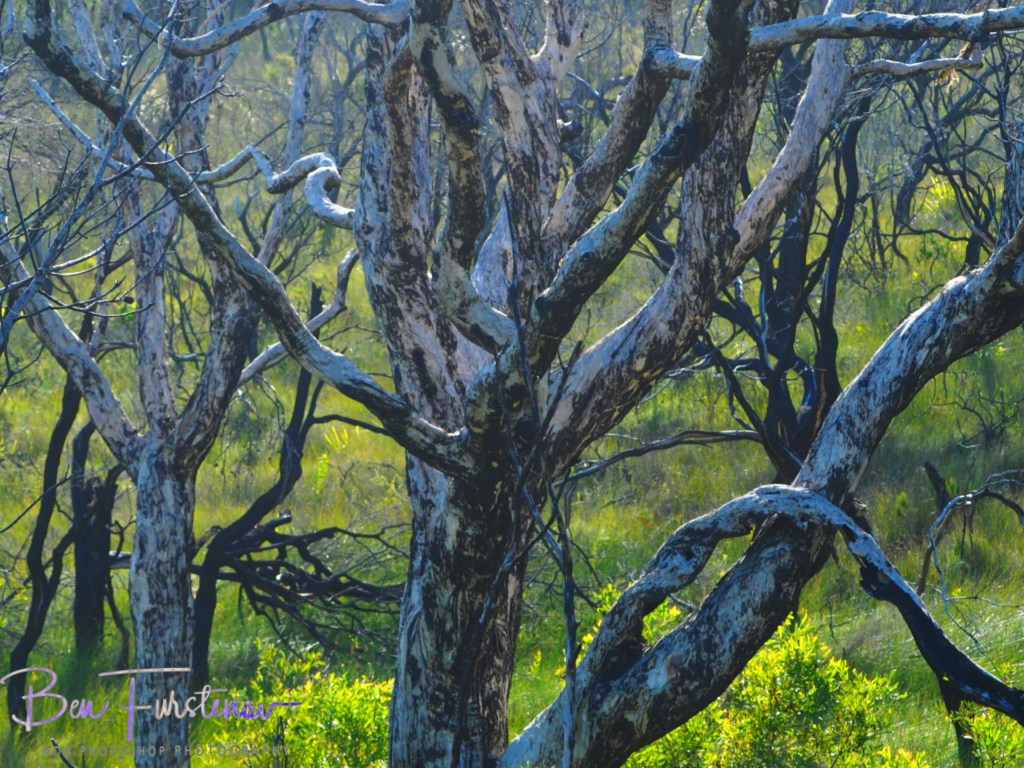 @Camden Haven, Mid-North Coast, New South Wales, 