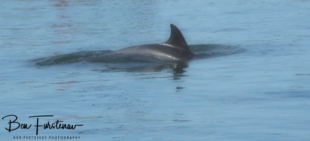 Camden Haven, Mid-North Coast, New South Wales, Australia