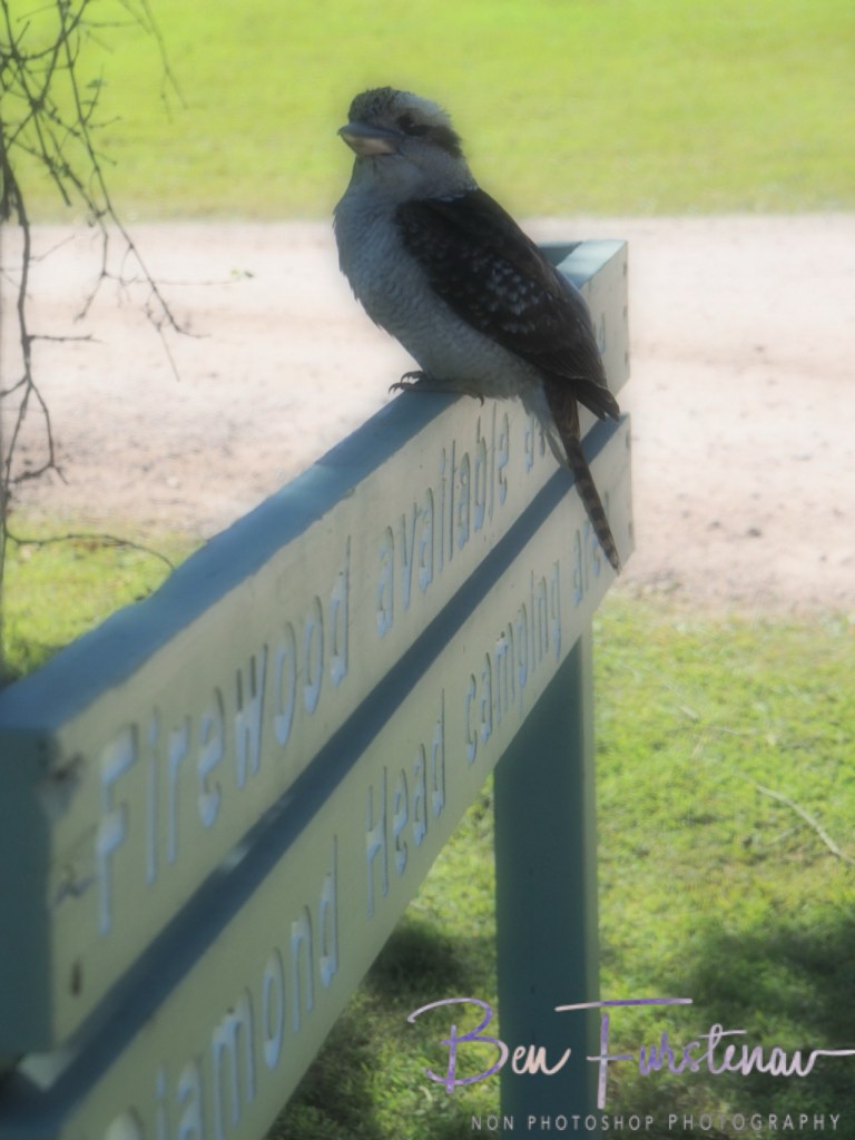 Crowdy Bay National Park, Mid-North Coast New South Wales, Australia