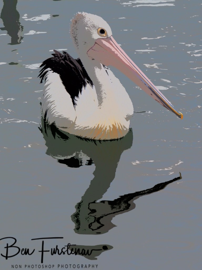 Laurieton, Camden Haven, Mid-North Coast, New South Wales, Australia