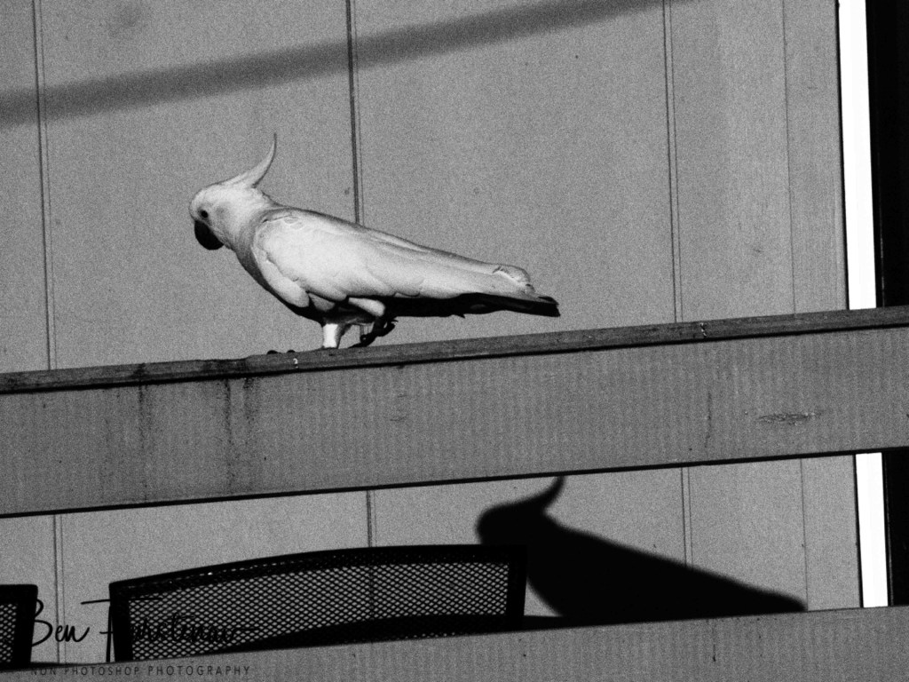 Camden Haven, Mid-North Coast, New South Wales, Australia