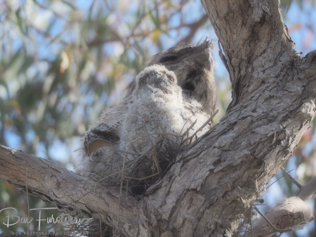 Camden Haven, Mid-North Coast, New South Wales, Australia
