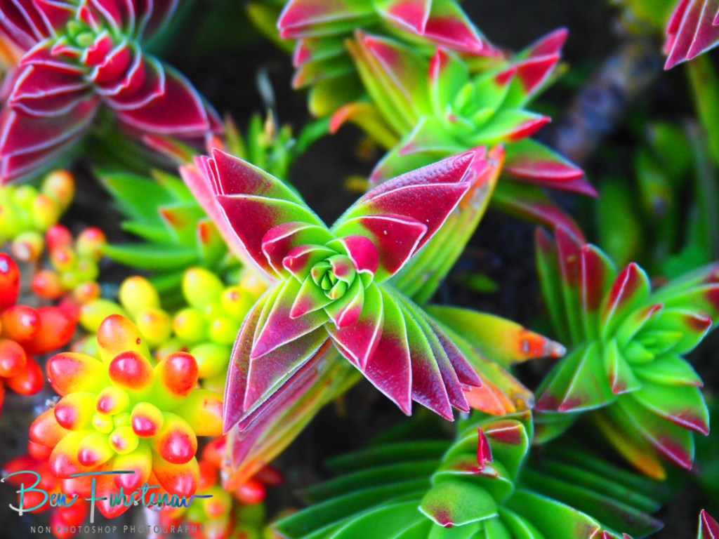 Maarmannshoek, Free State, South Africa