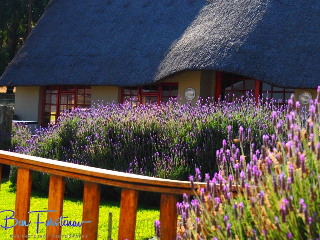 Maarmannshoek, Free State, South Africa