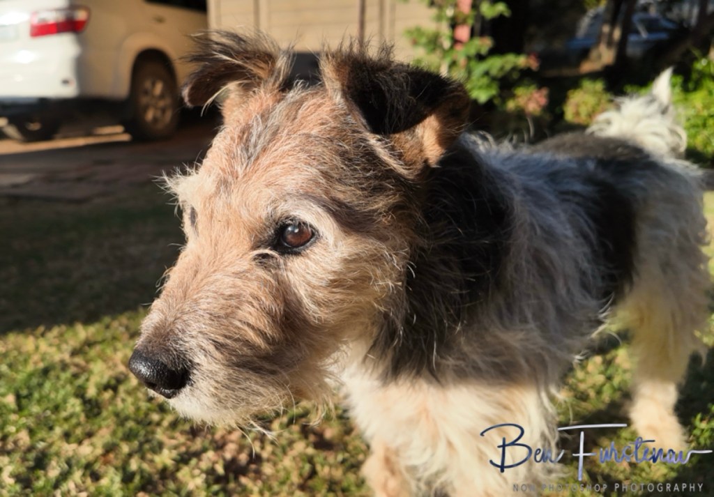 Adendorff Castle, Ingogo, Kwa-Zulu Natal, South Africa