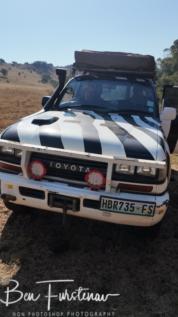 Ingogo, Kwa-Zulu Natal, South Africa, Africa