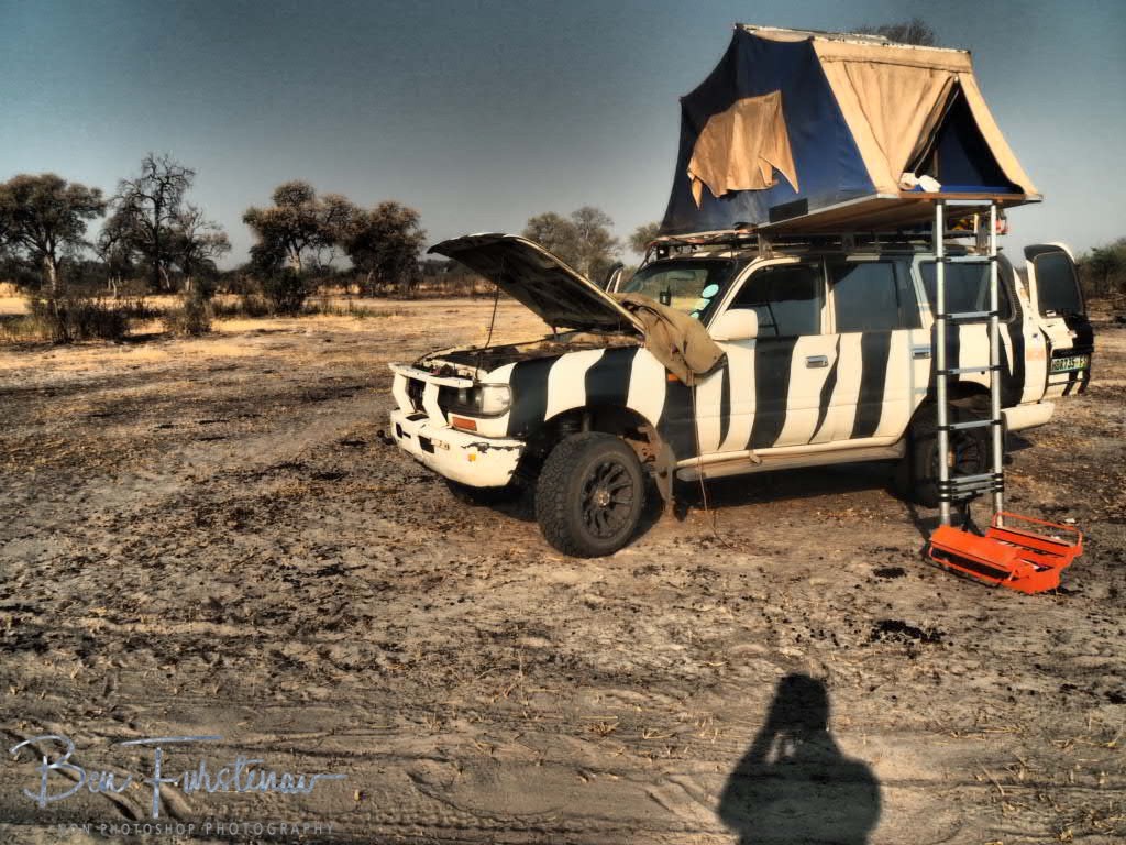 Khaudum National Park, Namibia, Africa