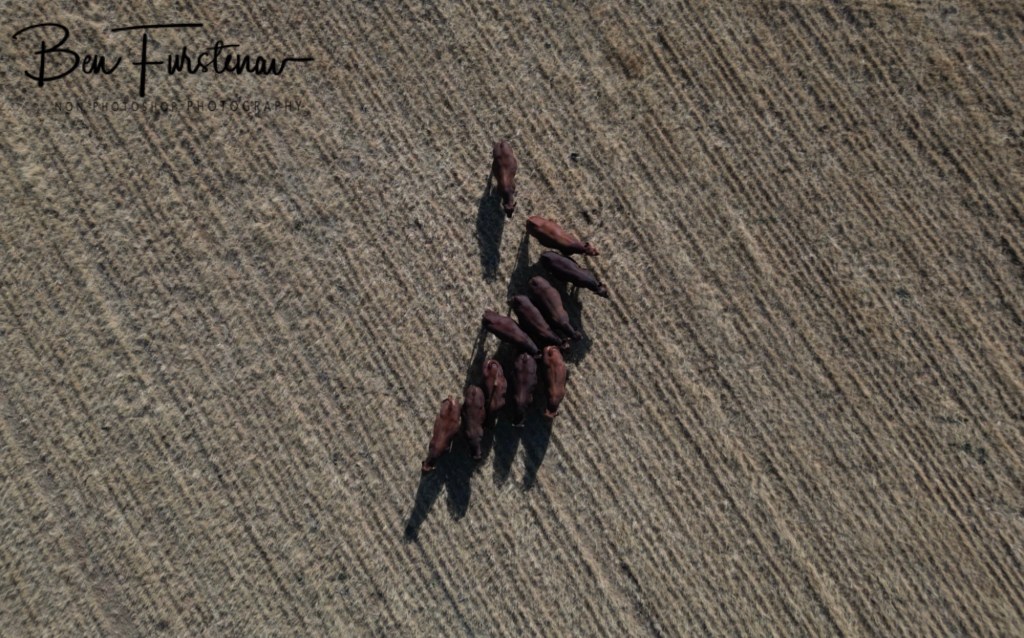 Maarmanshoek, Free State, South Africa, Africa