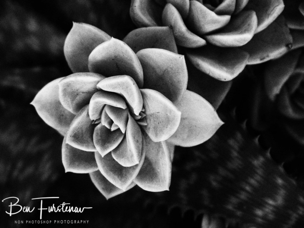 Maarmanshoek, Free State, South Africa, Africa