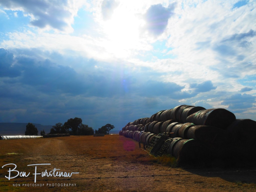 Maarmanshoek, Free State, South Africa, Africa