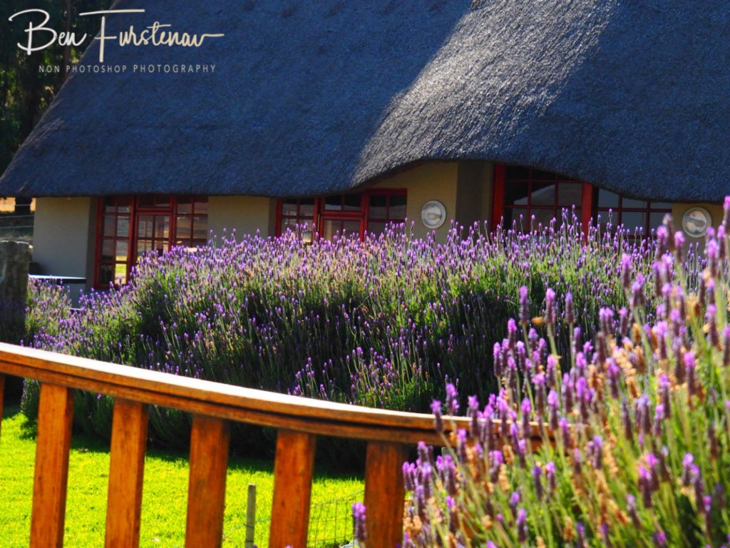 Maarmanshoek, Free State, South Africa, Africa