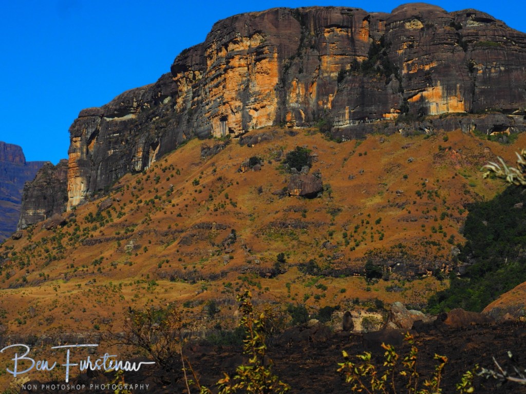 Drakenbergs Mountains, Kwa-Zulu Natal, South Africa