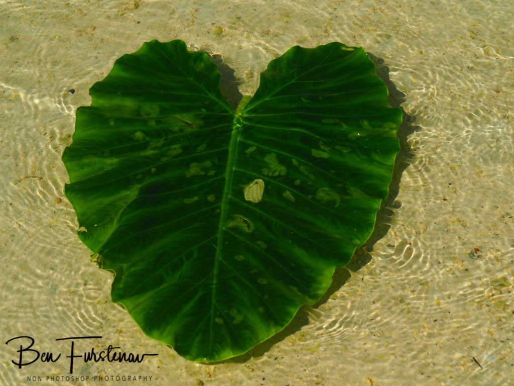 Santa Maria Island, Madagascar, Africa