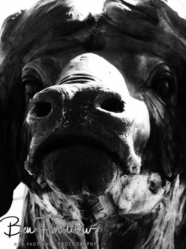 Adendorff Castle, Ingogo, Kwa-Zulu Natal, South Africa, Africa