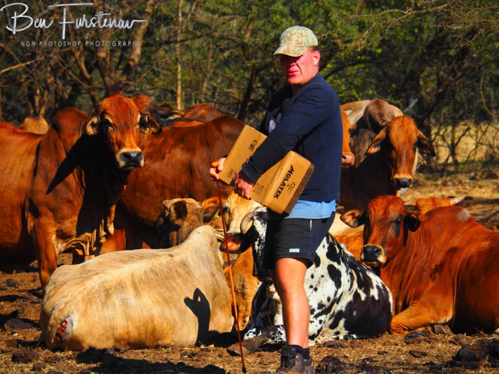 Adendorff Castle, Ingogo, Kwa-Zulu Natal, South Africa, Africa