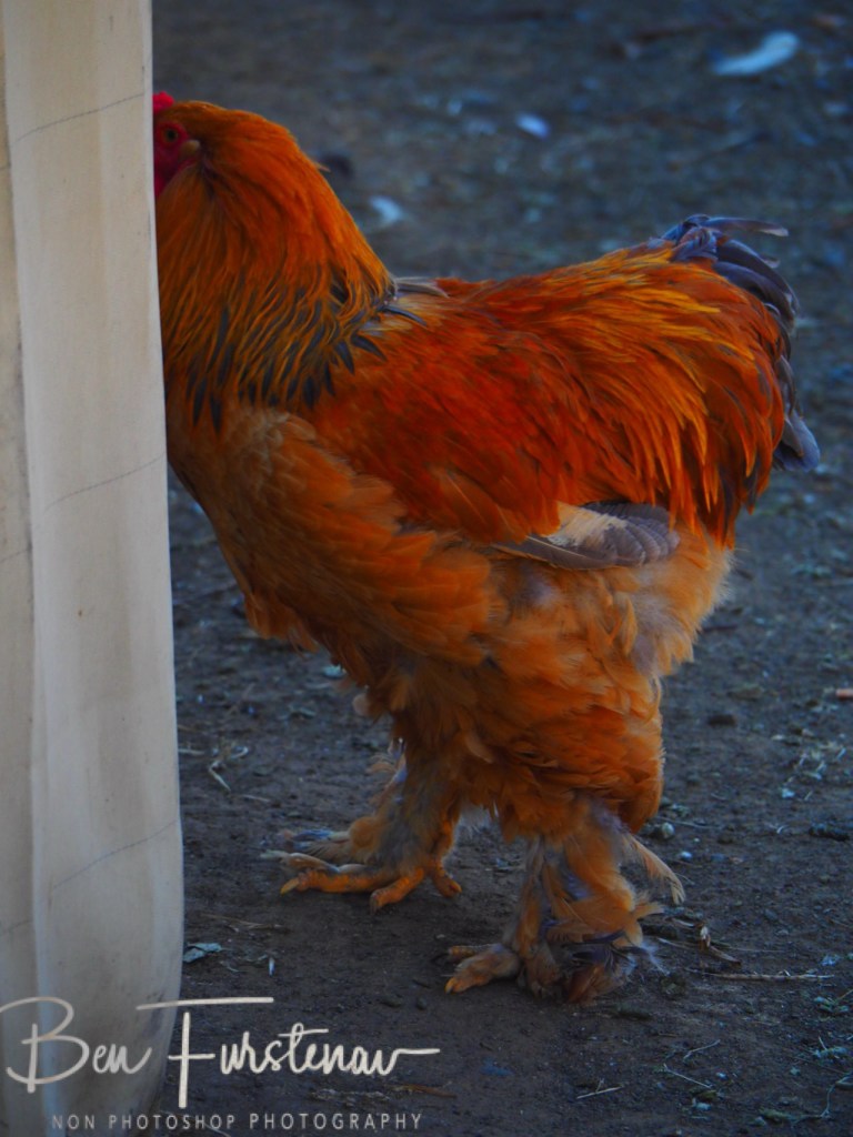 Memel, Free State, South Africa