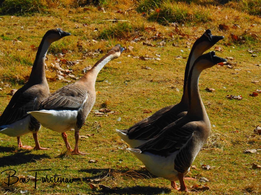 Memel, Free State, South Africa