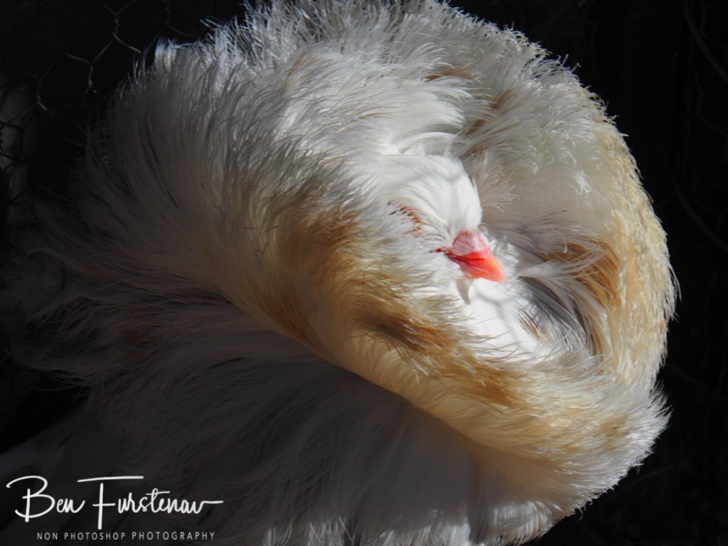 Memel, Free State, South Africa