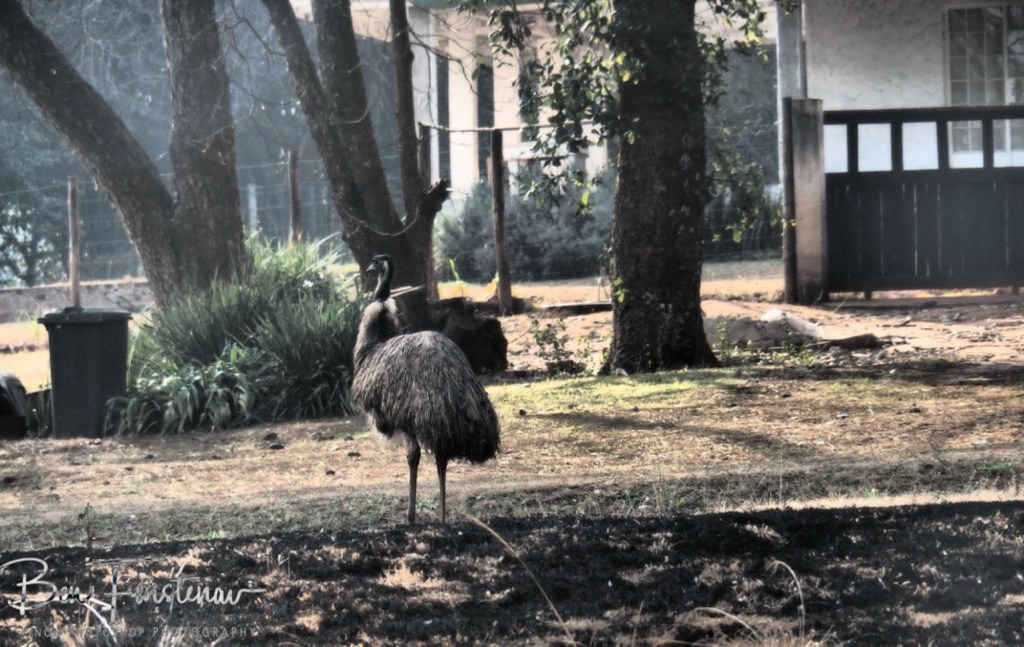Sabie, Mpumalanga, South Africa, Africa