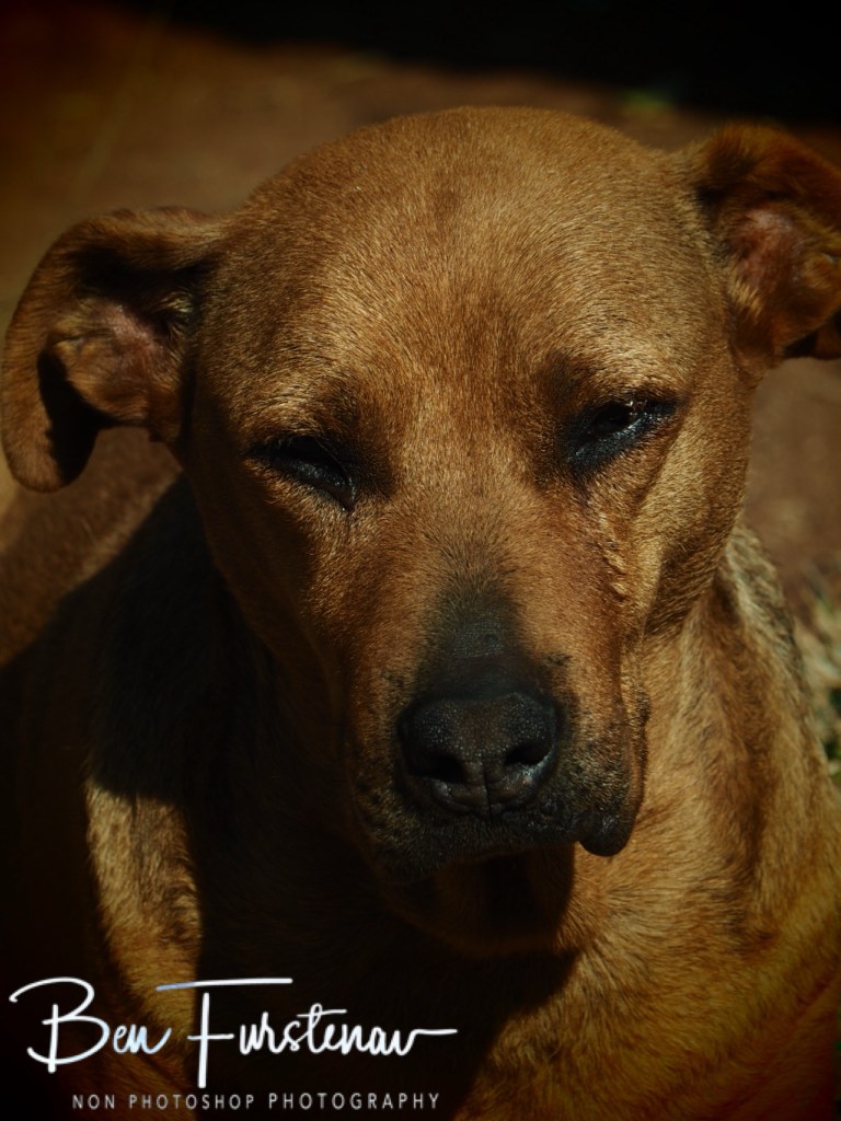 Sabie, Mpumalanga, South Africa, Africa