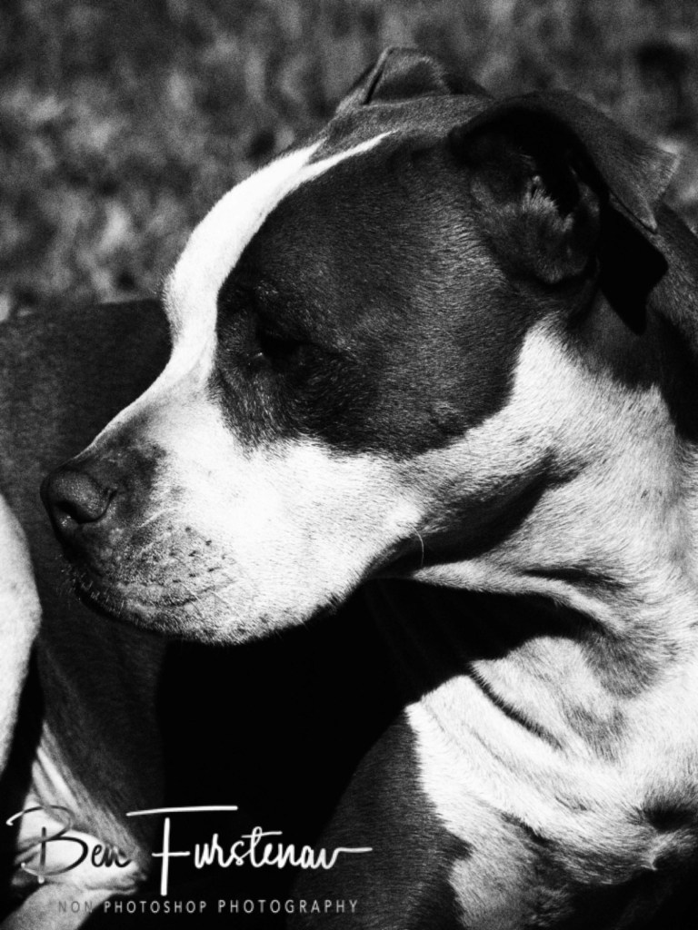 Sabie, Mpumalanga, South Africa, Africa