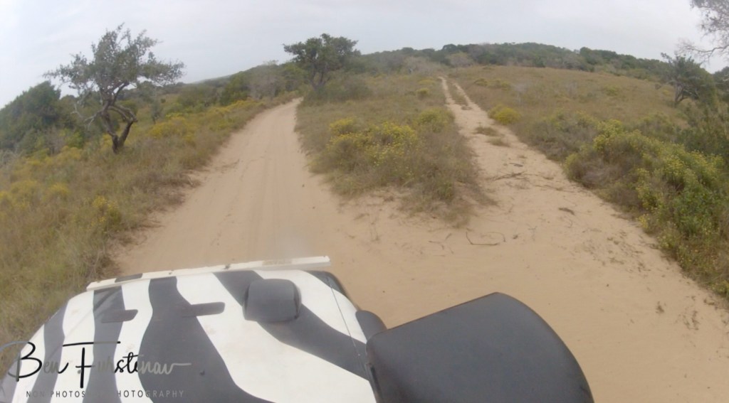 Machangulo Peninsula, Mozambique, Africa
