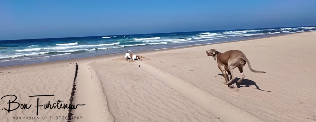Machangulo Peninsula, Mozambique, Africa
